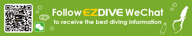 EZDIVE EZDIVE