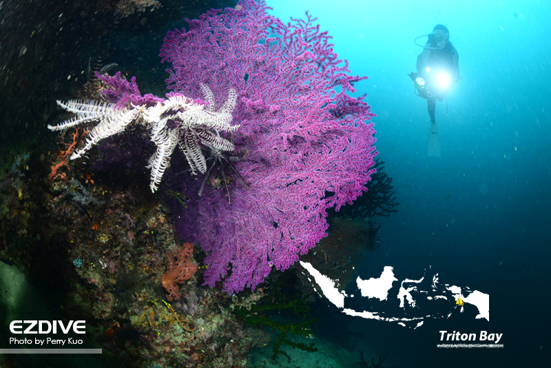Triton Bay in West Papua