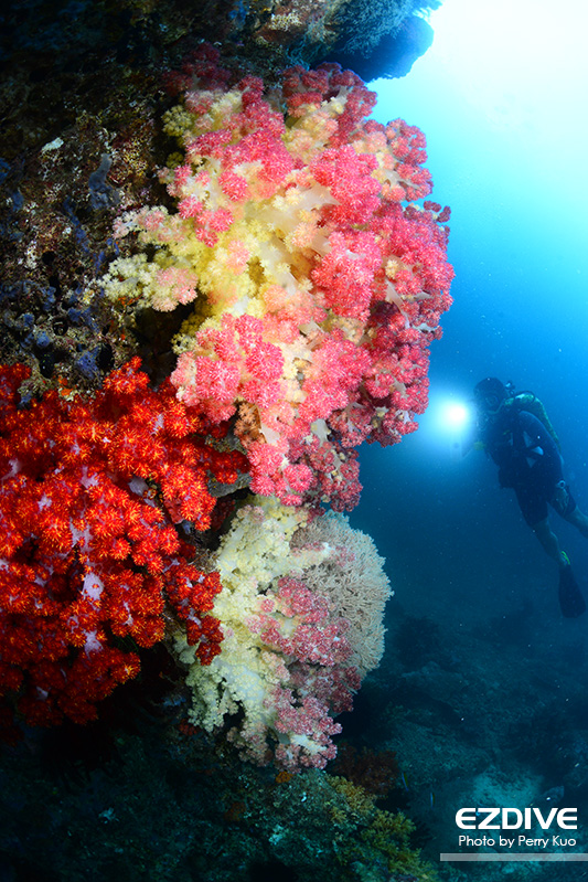 Triton Bay in West Papua