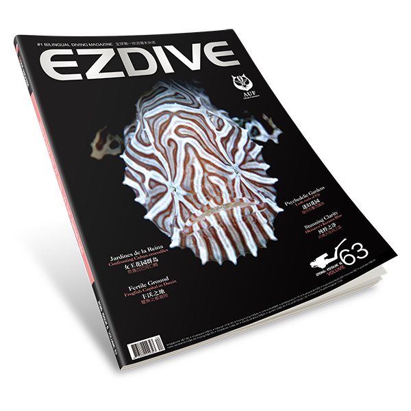 EZDIVE Diving Magazine Issue 63