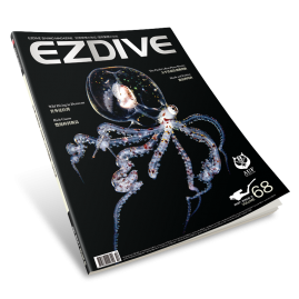 EZDIVE Diving Magazine Issue #68