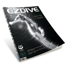 EZDIVE Diving Magazine ISSUE #82