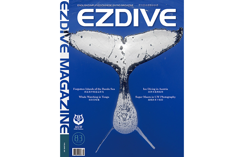 EZDIVE Diving Magazine Issue 83