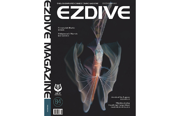 EZDIVE Diving Magazine Issue 84