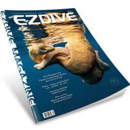 EZDIVE Diving Magazine ISSUE #95