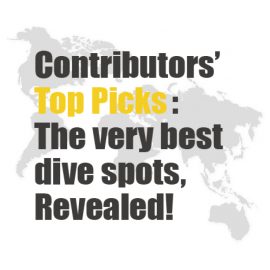 Contributors’ Top Picks: The very best dive spots, Revealed!