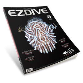 EZDIVE Diving Magazine Issue #63