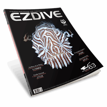 EZDIVE Diving Magazine Issue 63
