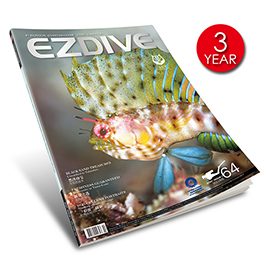 EZDIVE Magazine – 3 Years