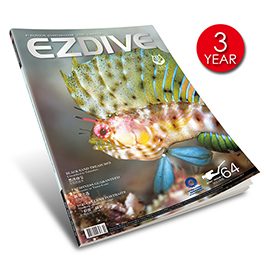 EZDIVE潛水雜誌 三年份