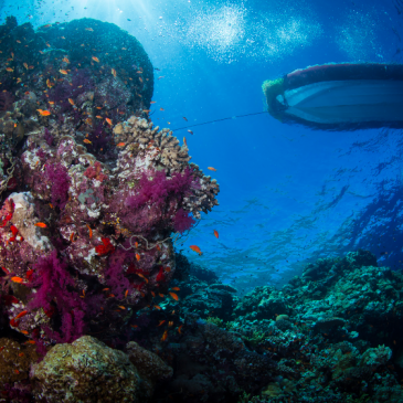 Sudan’s Red Sea