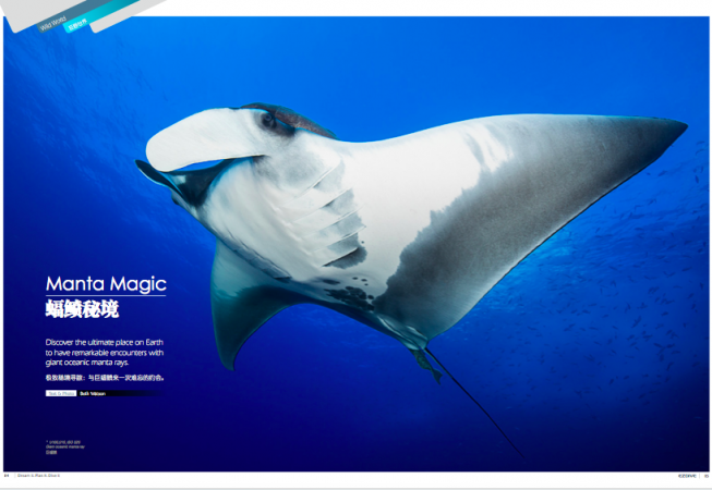 EZDIVE Diving Magazine Issue 66