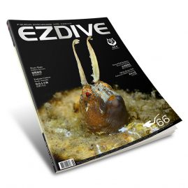 EZDIVE Diving Magazine Issue #66