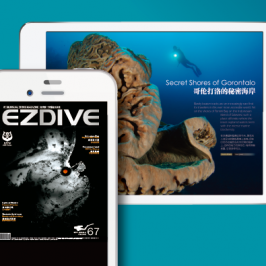 EZDIVE Online Magazine