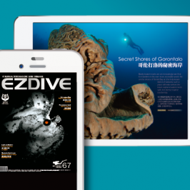 EZDIVE 电子杂志