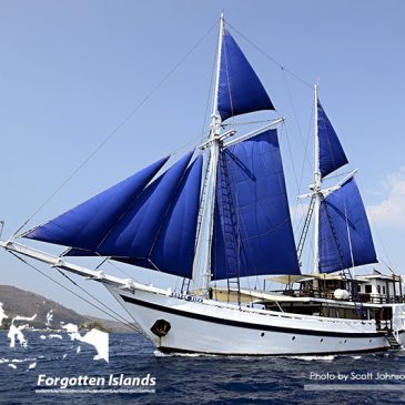 The Unforgettable Islands