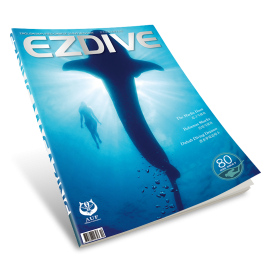 EZDIVE Diving Magazine ISSUE #80