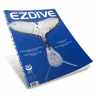EZDIVE Diving Magazine Issue 83