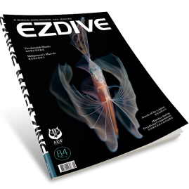 EZDIVE Diving Magazine ISSUE #84