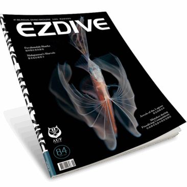 EZDIVE Diving Magazine Issue 84