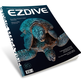 EZDIVE Diving Magazine ISSUE #85