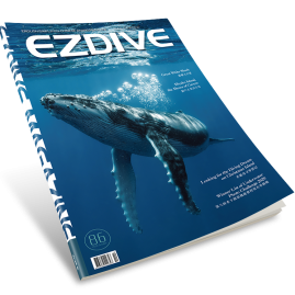 EZDIVE Diving Magazine ISSUE #86