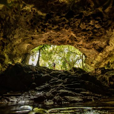 Cenotes Photo- Hunting in Yucatan for Xiimbalil Ja Festival