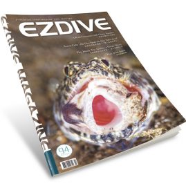 EZDIVE Diving Magazine ISSUE #94
