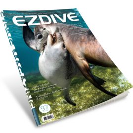 EZDIVE Diving Magazine ISSUE #97
