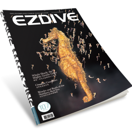 EZDIVE Diving Magazine ISSUE #107