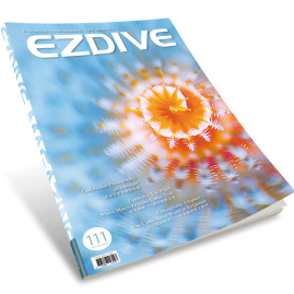 EZDIVE Diving Magazine ISSUE #111