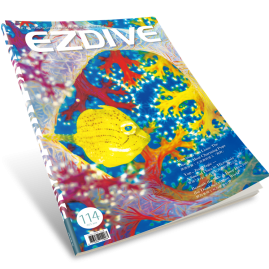 EZDIVE Diving Magazine ISSUE #114