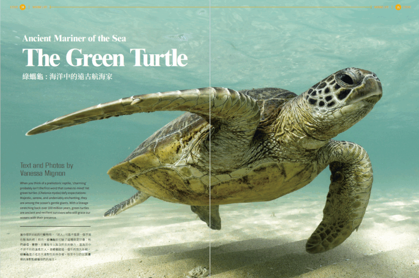 EZDIVE Diving Magazine ISSUE #118