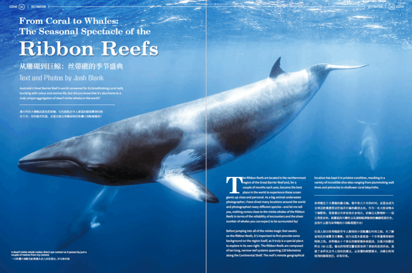 EZDIVE Diving Magazine ISSUE #118