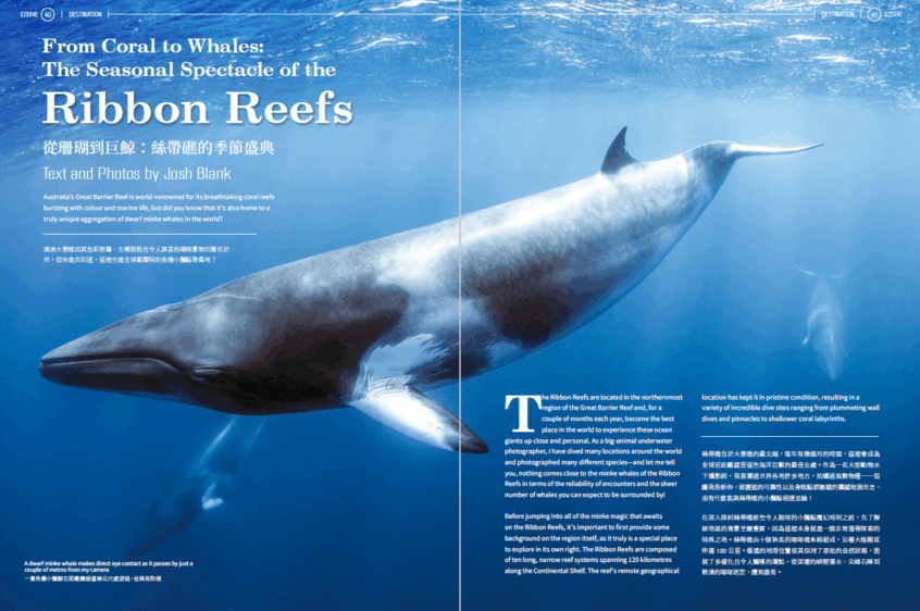 EZDIVE Diving Magazine ISSUE #118