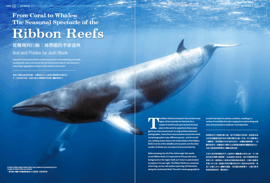 EZDIVE Diving Magazine ISSUE #118