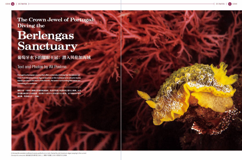 EZDIVE Diving Magazine ISSUE #118