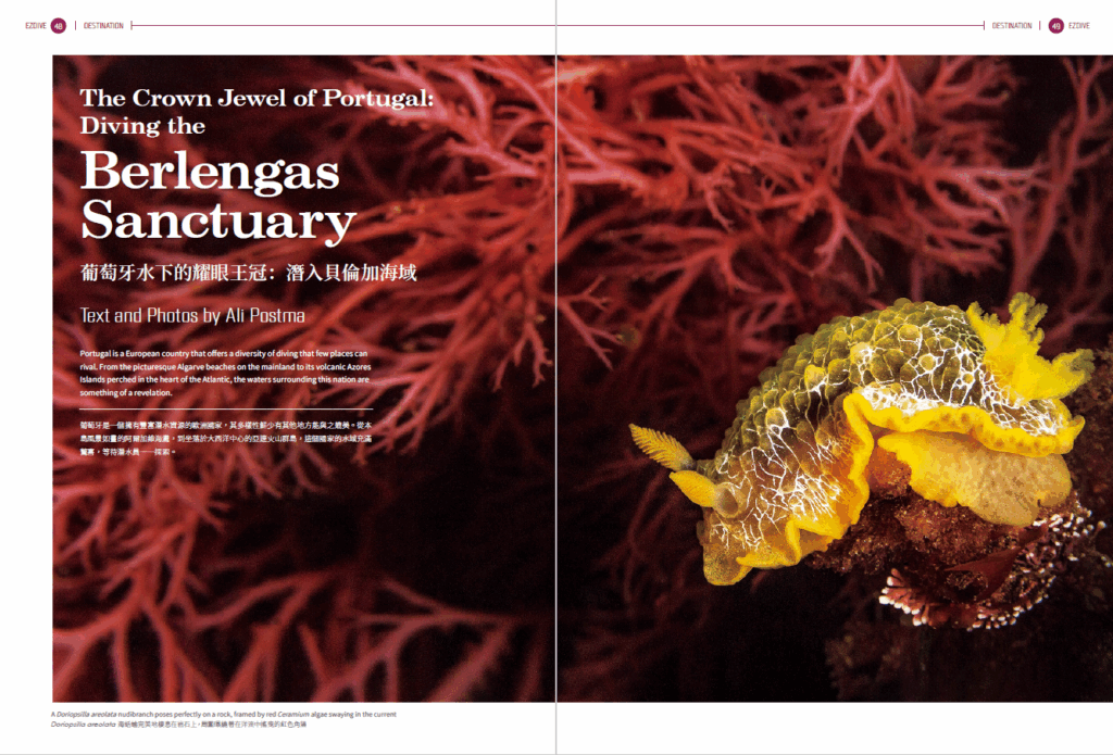 EZDIVE Diving Magazine ISSUE #118