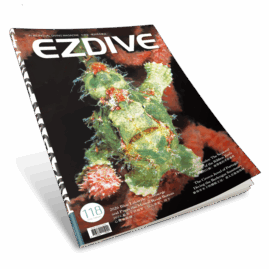 EZDIVE Diving Magazine ISSUE #118