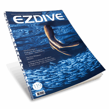 EZDIVE Diving Magazine ISSUE #119