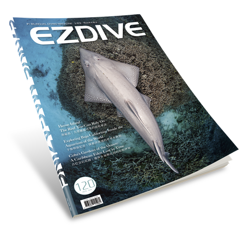 EZDIVE Diving Magazine ISSUE #120