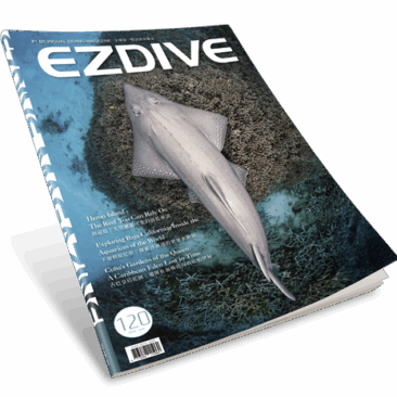 EZDIVE Diving Magazine ISSUE #120