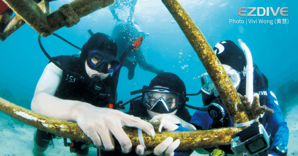 Underwater-Therapy-水下治療-2